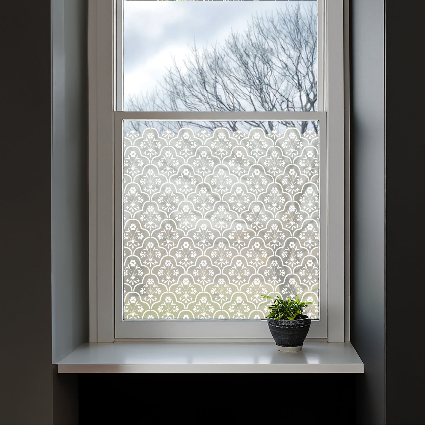 Shiraz Frosted Window Privacy Film Border