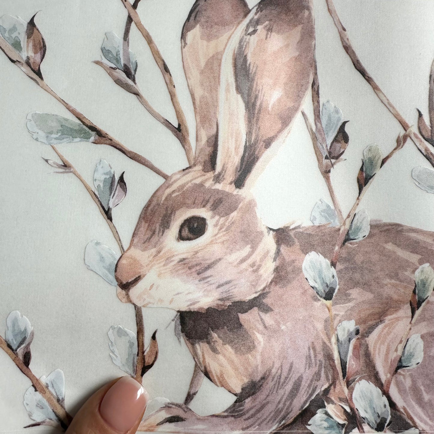 Willow Branch Wall Decal Border - Top - Dizzy Duck Designs