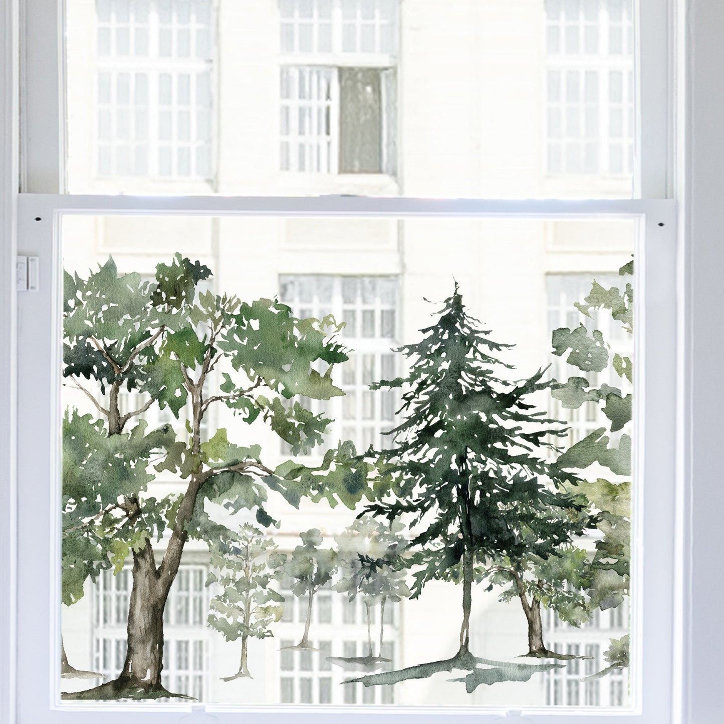 Forest Tree Clear Border Privacy Window Decal - Dizzy Duck Designs