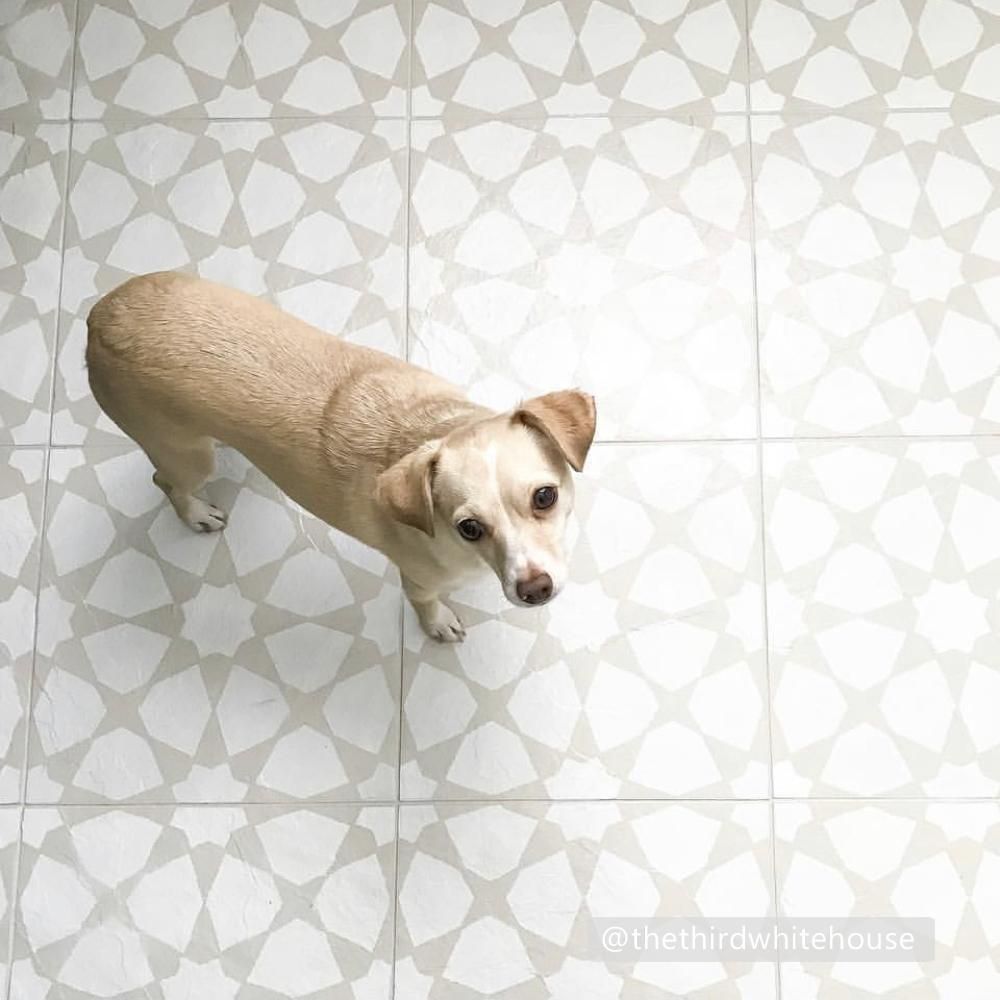 Amira Tile Stencil - Dizzy Duck Designs