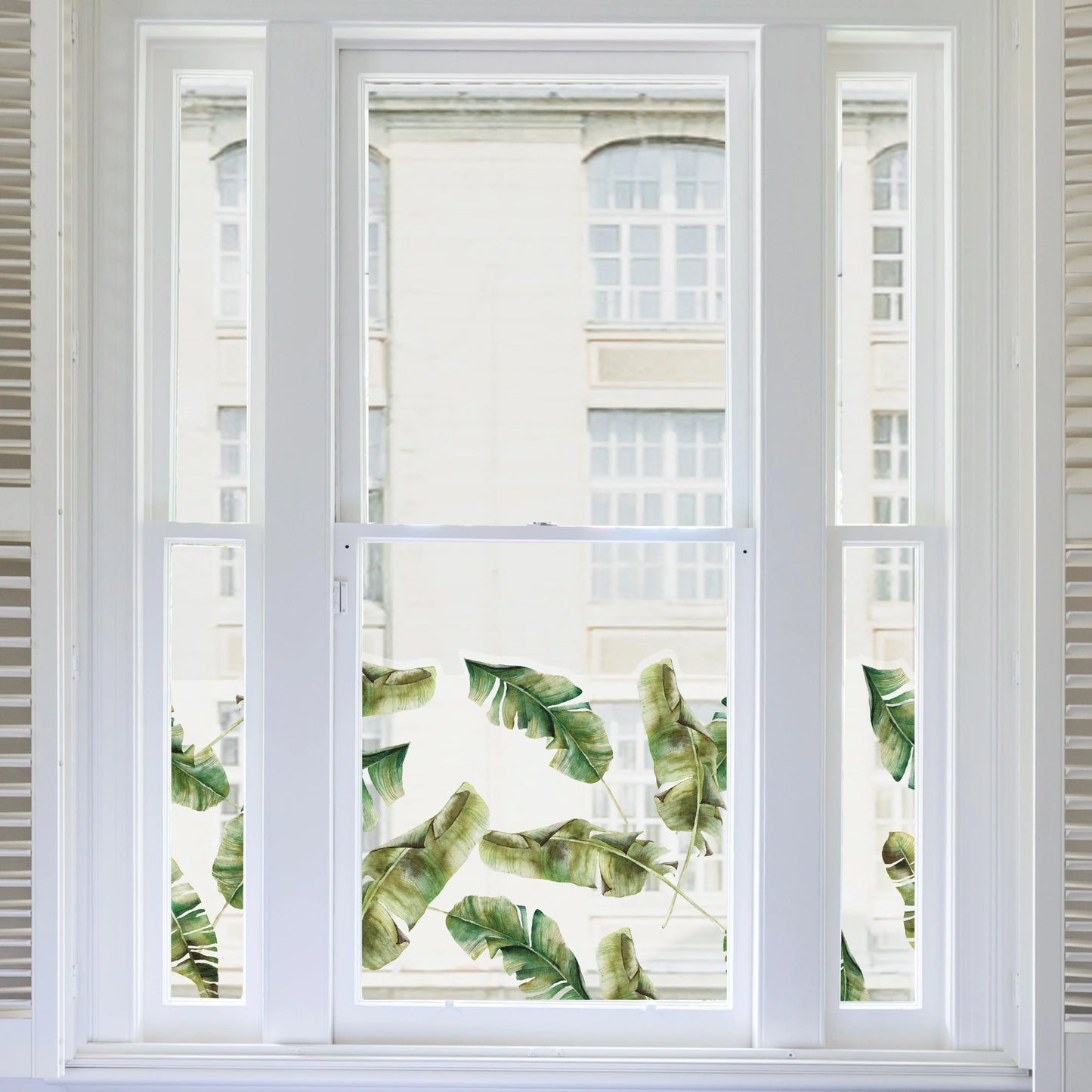 Banana Leaf Tropical Clear Window Privacy Border - Dizzy Duck Designs