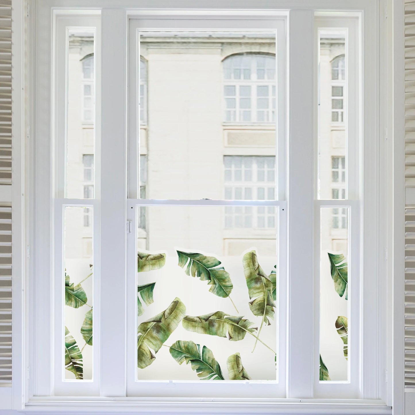 Banana Leaf Frost Privacy Film Window Border - Dizzy Duck Designs