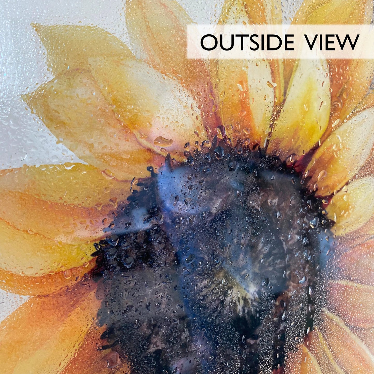 Custom Quote Sunflower Window Border - Dizzy Duck Designs