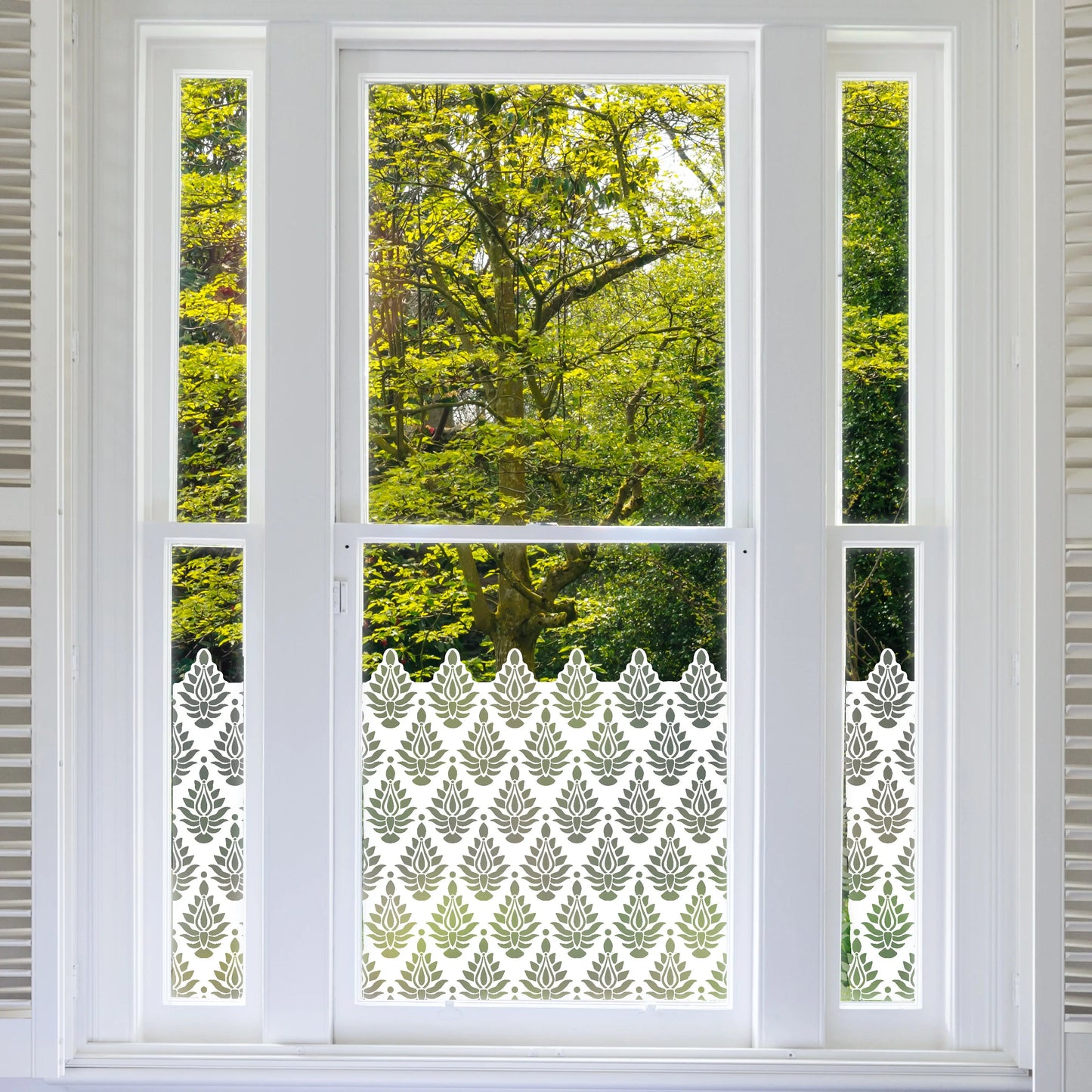 Indore Frosted Window Privacy Border - Dizzy Duck Designs