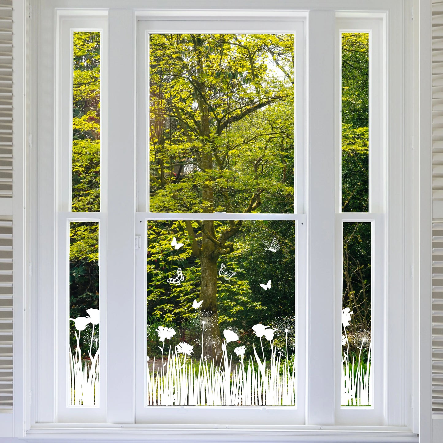 Meadow Clear Window Privacy Border (Clear) - Dizzy Duck Designs