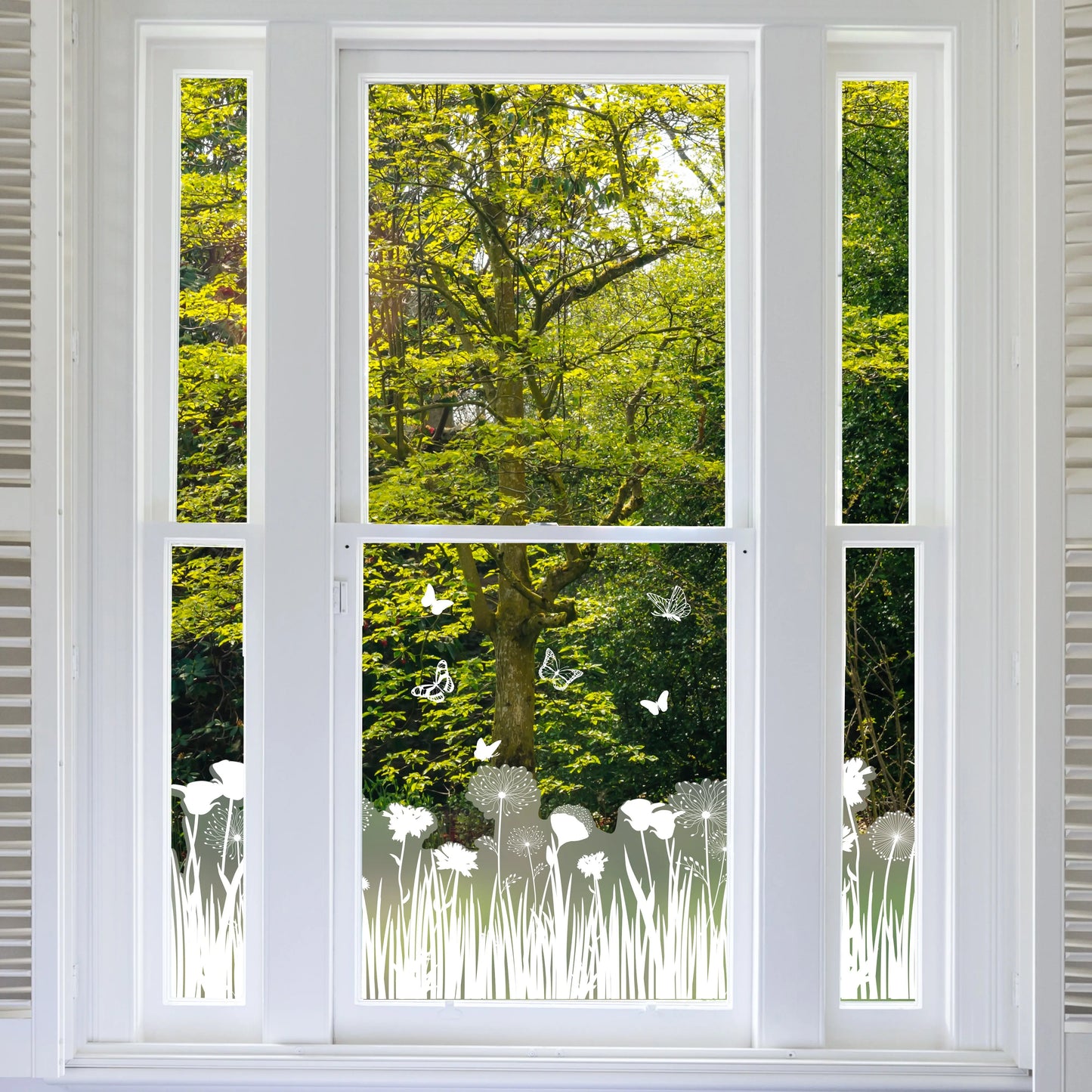 Meadow Frosted Window Privacy Border - Dizzy Duck Designs