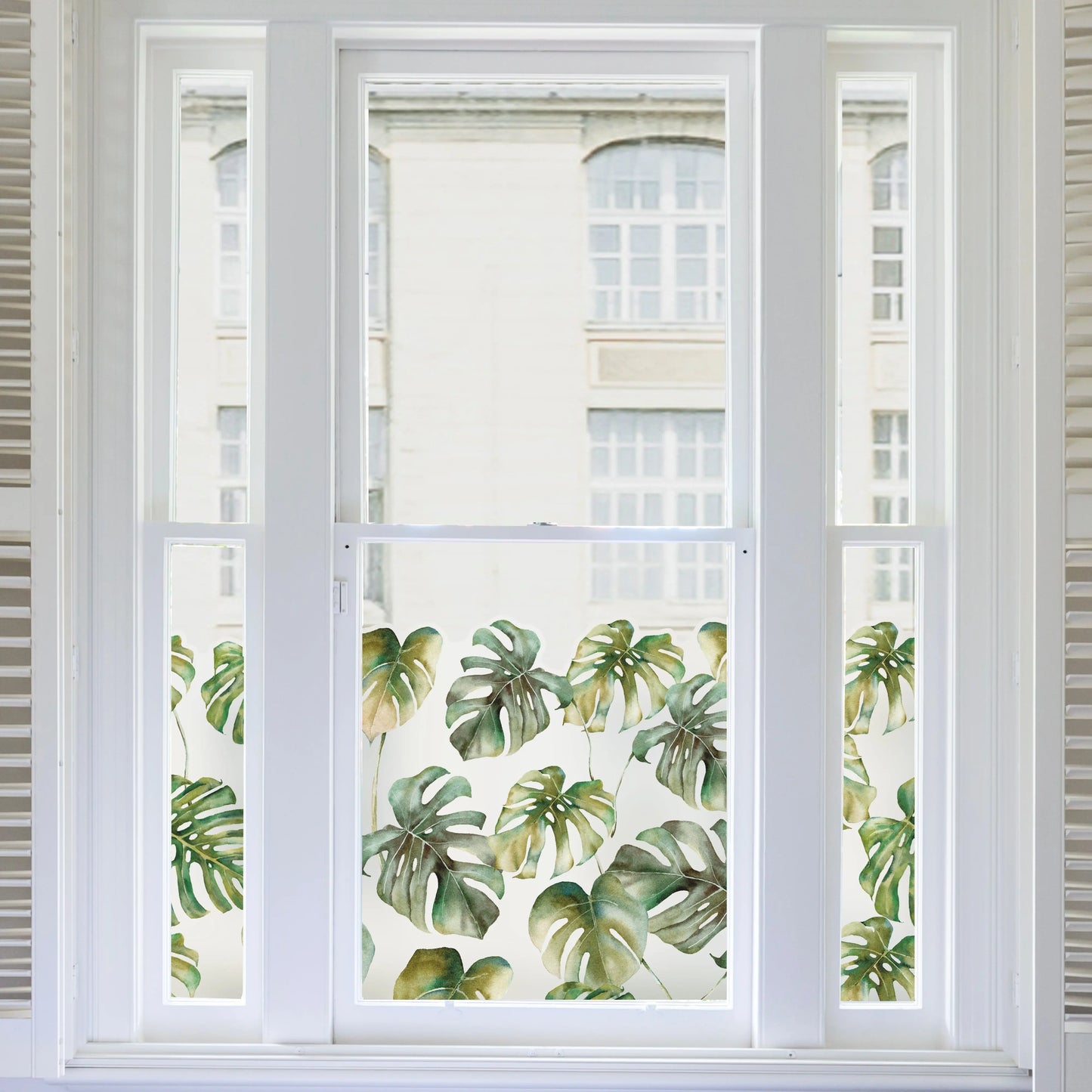 Monstera Leaf Tropical Frosted Window Privacy Border - Dizzy Duck Designs