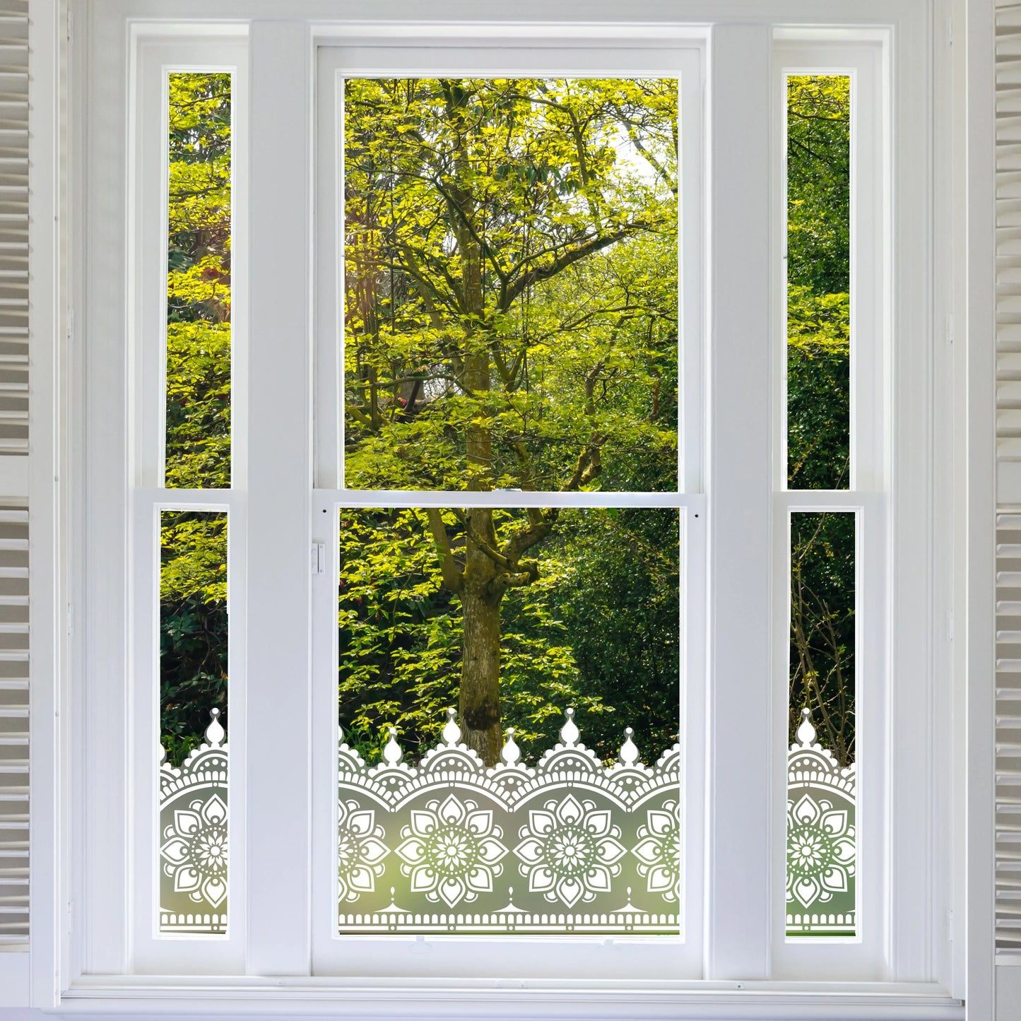 Myah Frosted Window Privacy Border - Dizzy Duck Designs