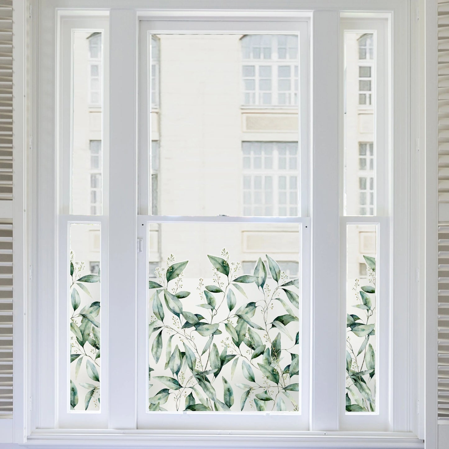 Seeded Eucalyptus Frosted Window Privacy Border - Dizzy Duck Designs