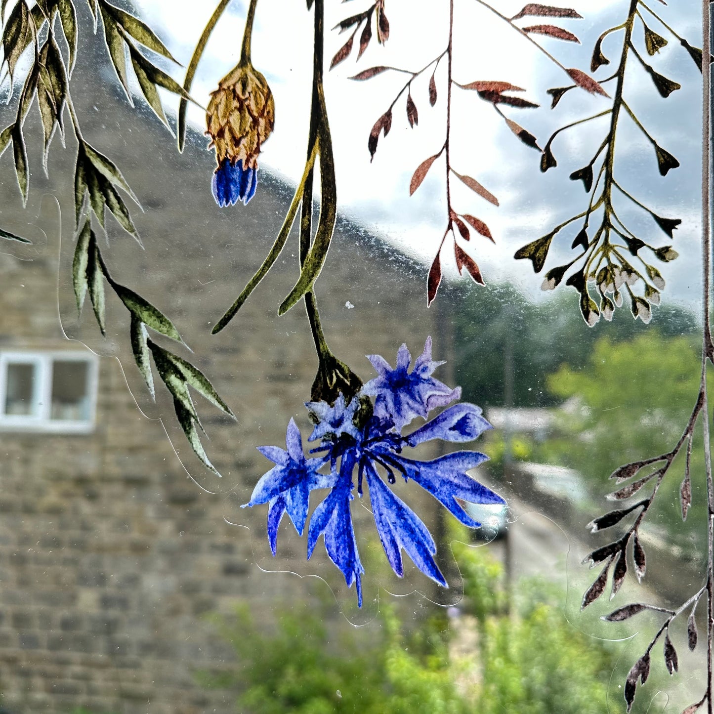 Botanical Meadow Shop Window Decal Border (Top)