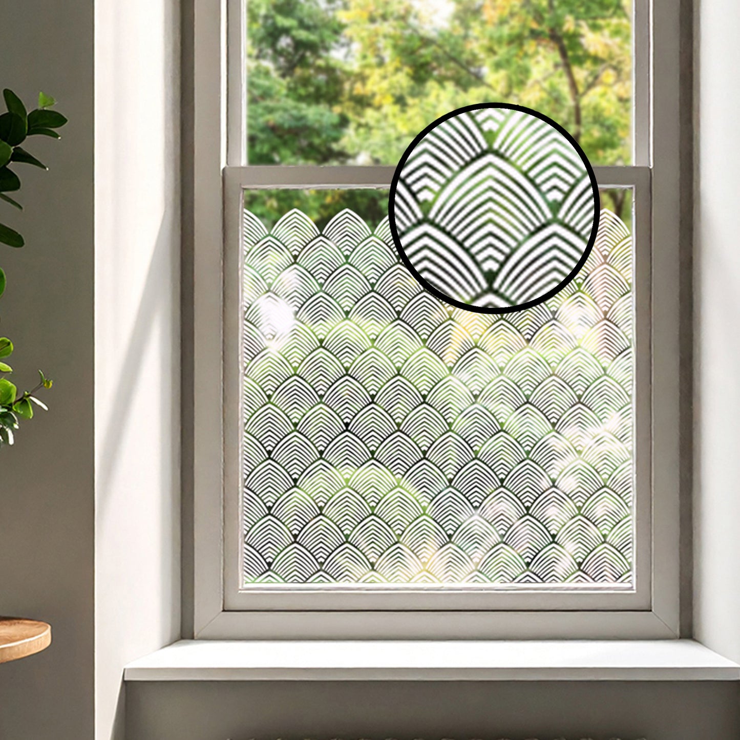 Chaplin Privacy Clear Window Border