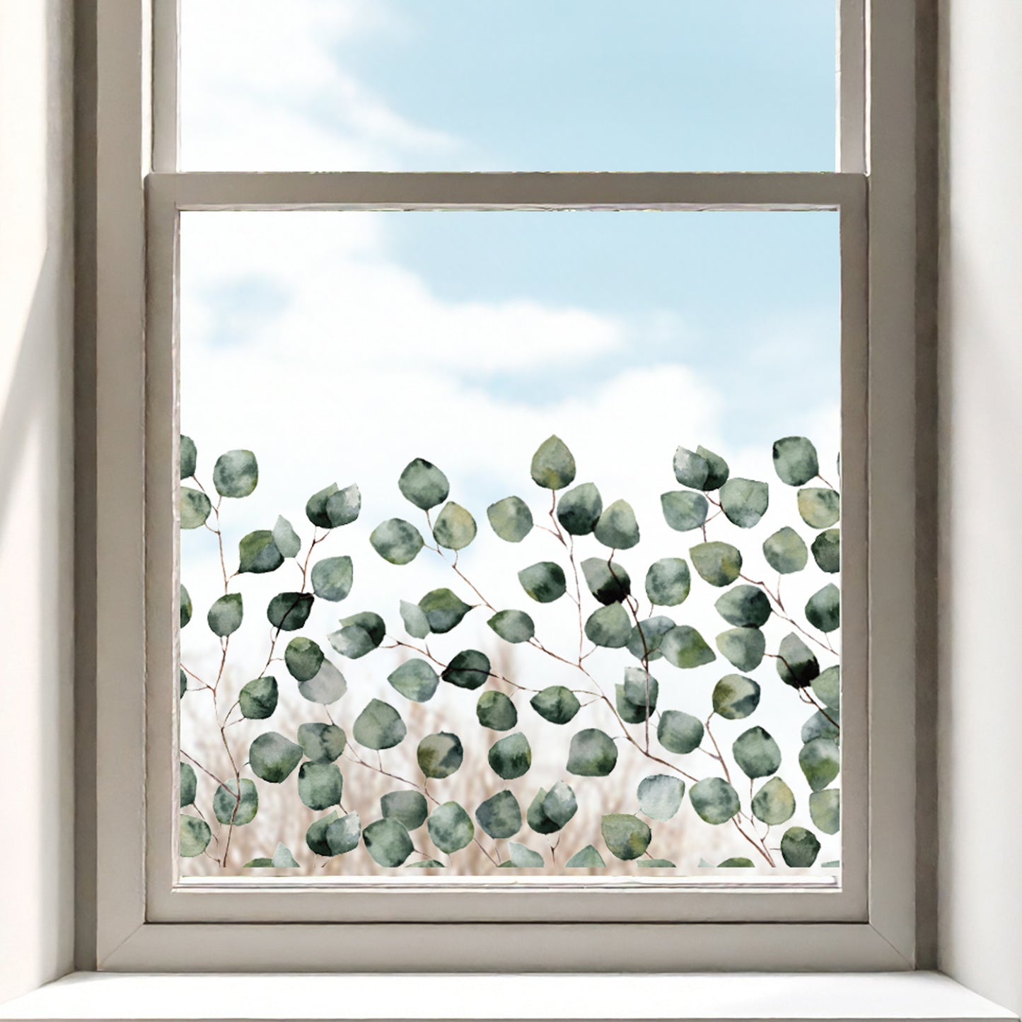 Eucalyptus Clear Window Privacy Border