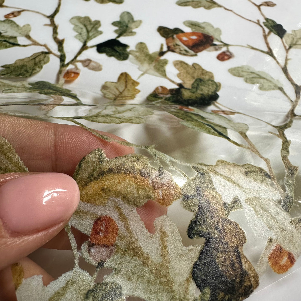 Squirrel & Forest Leaves Shop Window Cling for Autumn Display