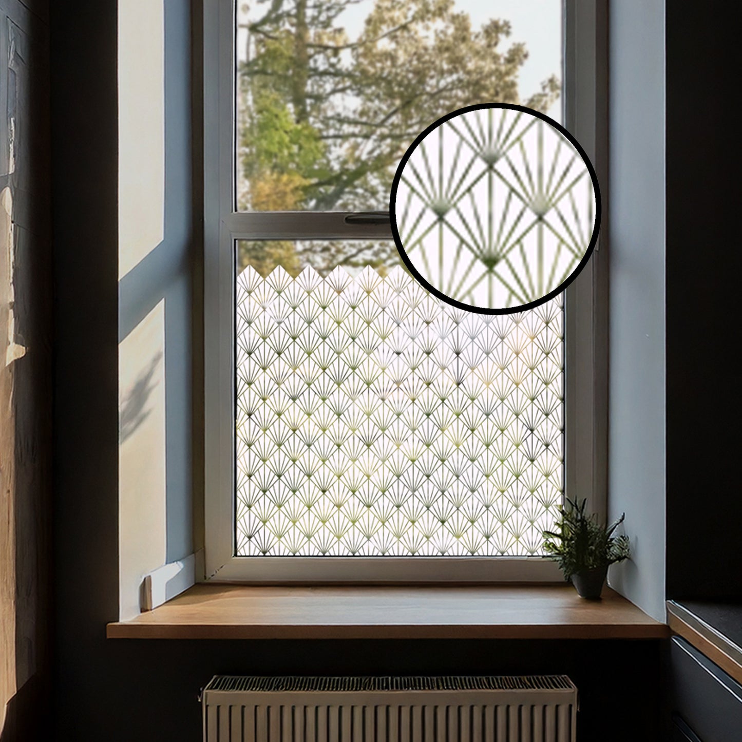 Horus Clear Window Privacy Border