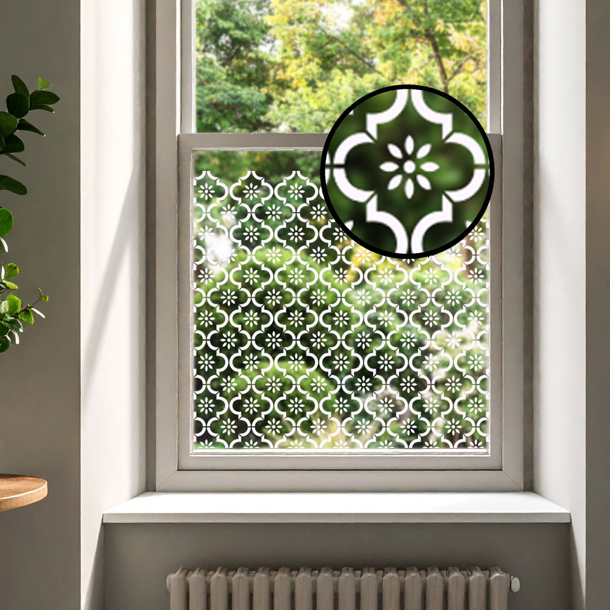 Jannah Clear Window Privacy Border (Clear)
