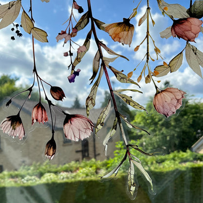 Magic Botanical Flowers Shop Window Decal Border (Top)