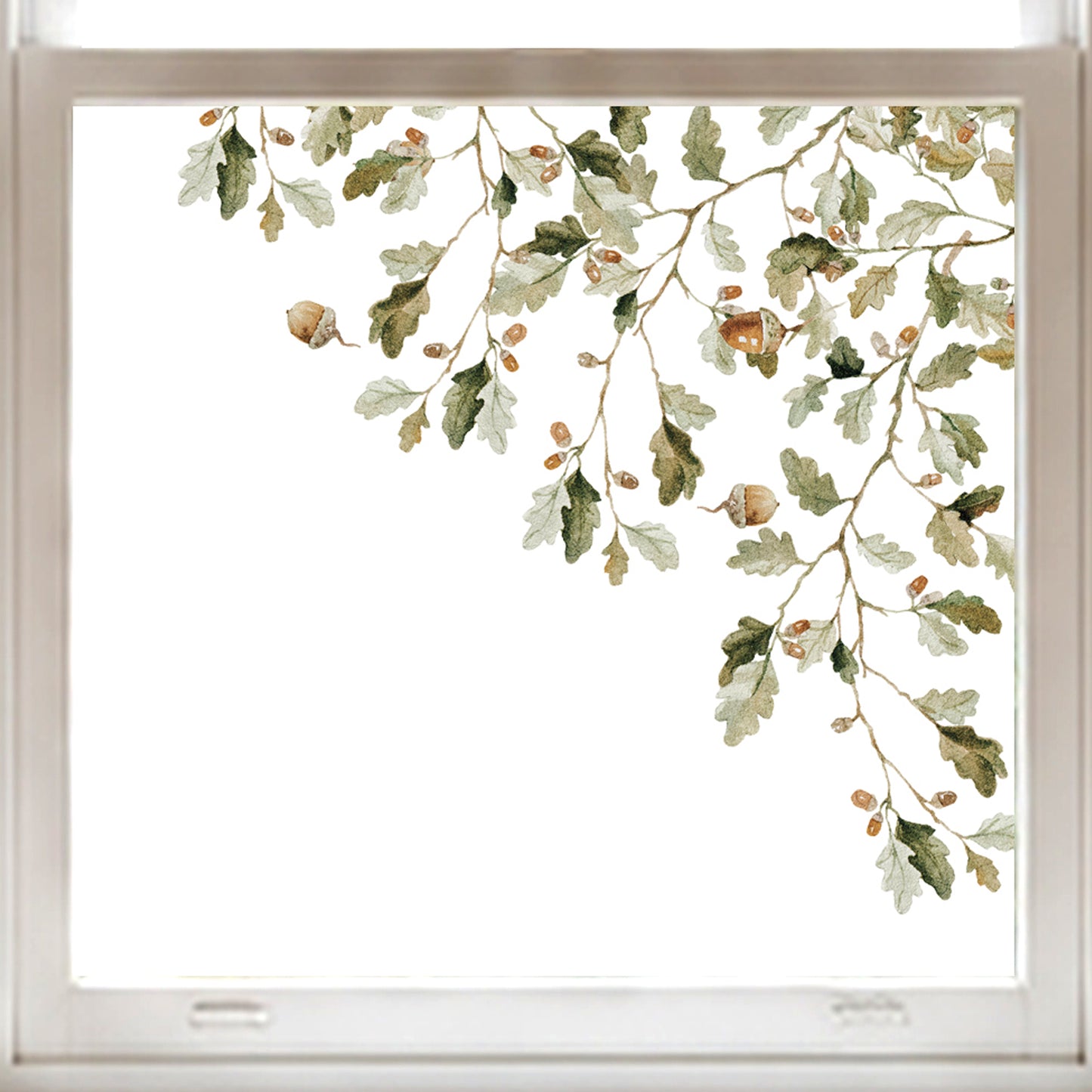 2x Forest Oak Leaf & Acorn Corner Shop Window Clings for Autumn Styling