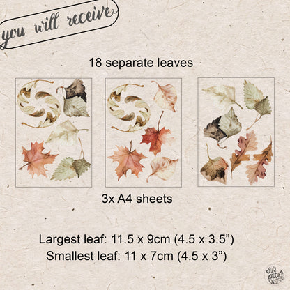 Set of 18 Autumn Woodland Forest Leaves - Reusable Window Clings