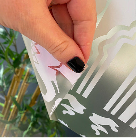 Mumbai Frosted Window Privacy Film Border