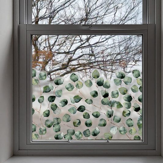 Eucalyptus Frosted Window Privacy Border