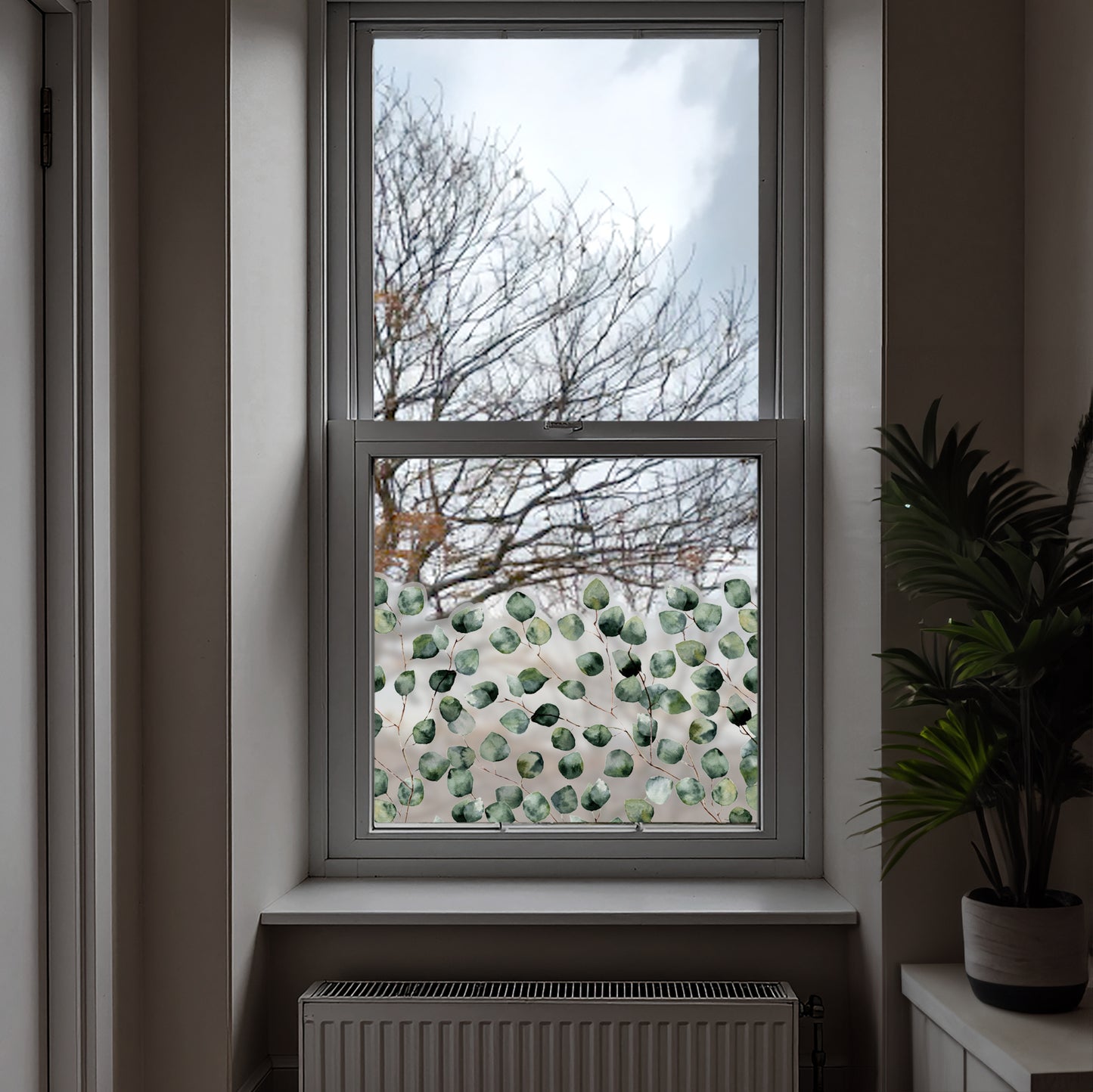 Eucalyptus Frosted Window Privacy Border