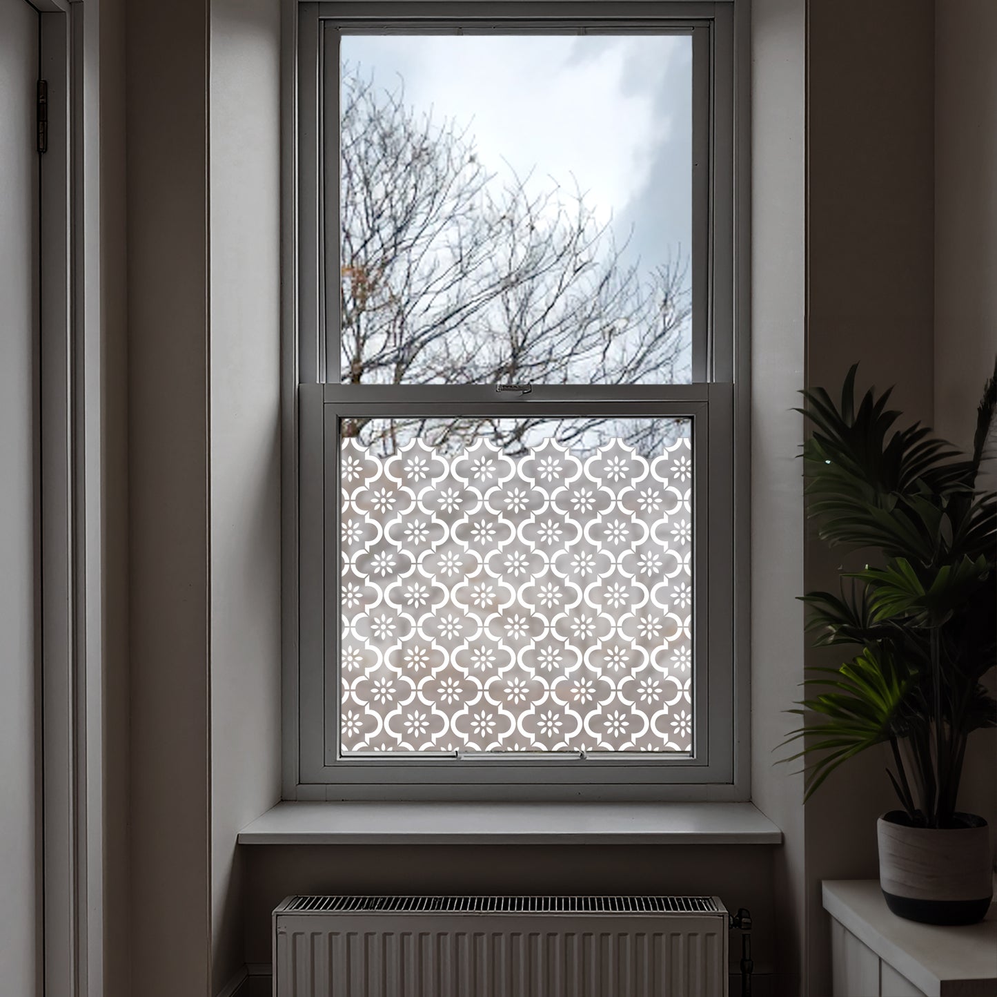 Jannah Frosted Window Privacy Film Border