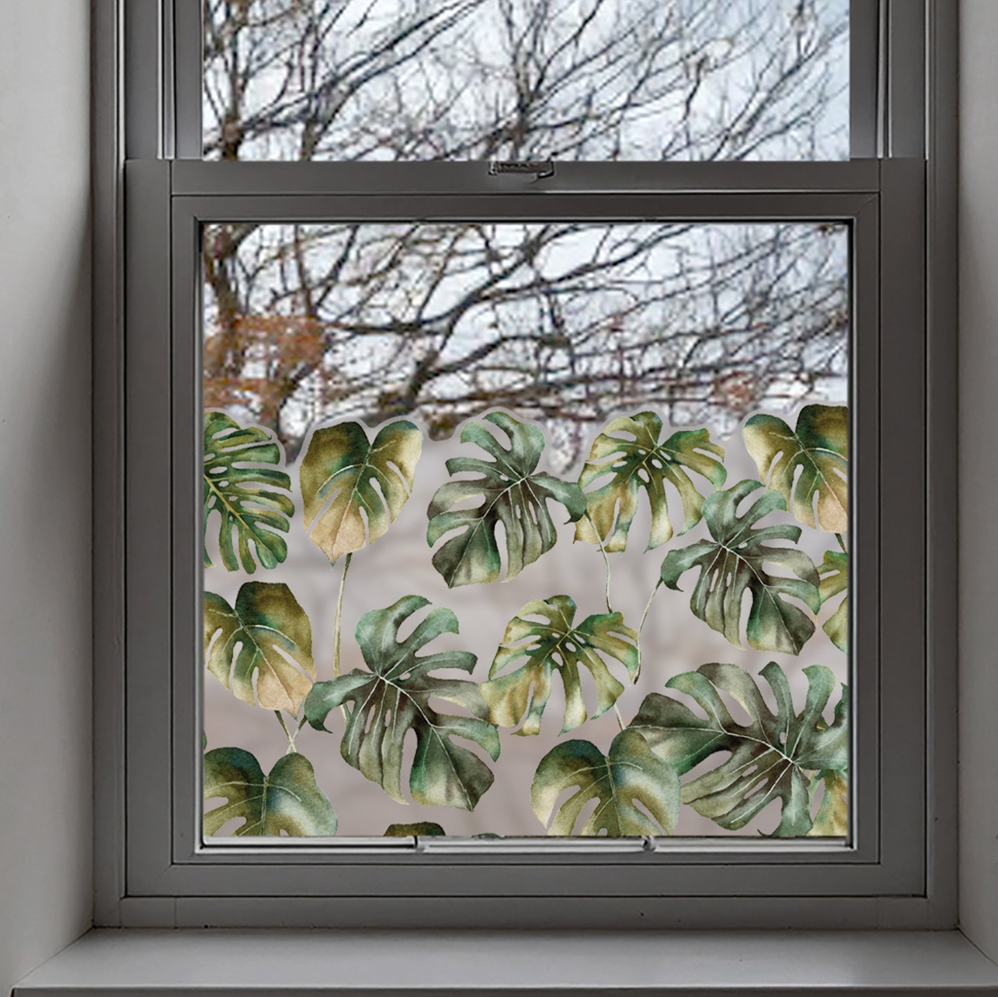 Monstera Leaf Tropical Frosted Window Privacy Border