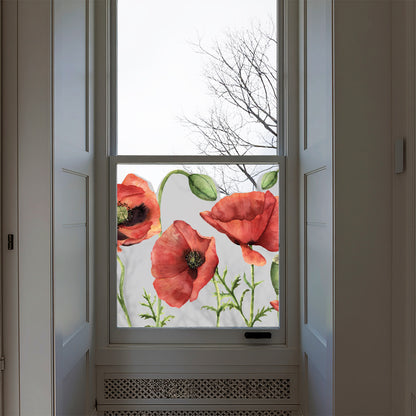 Poppy Frosted Window Privacy Border