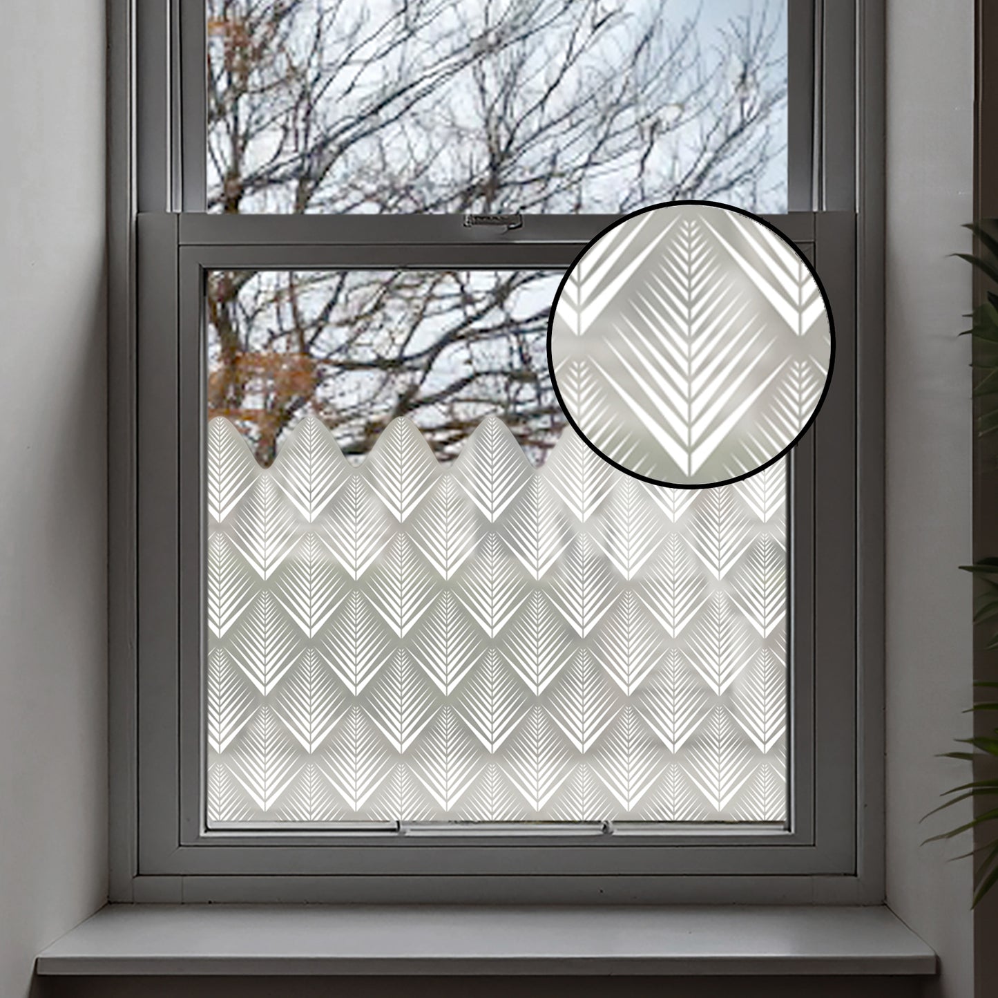 Shelby Frosted Window Privacy Border