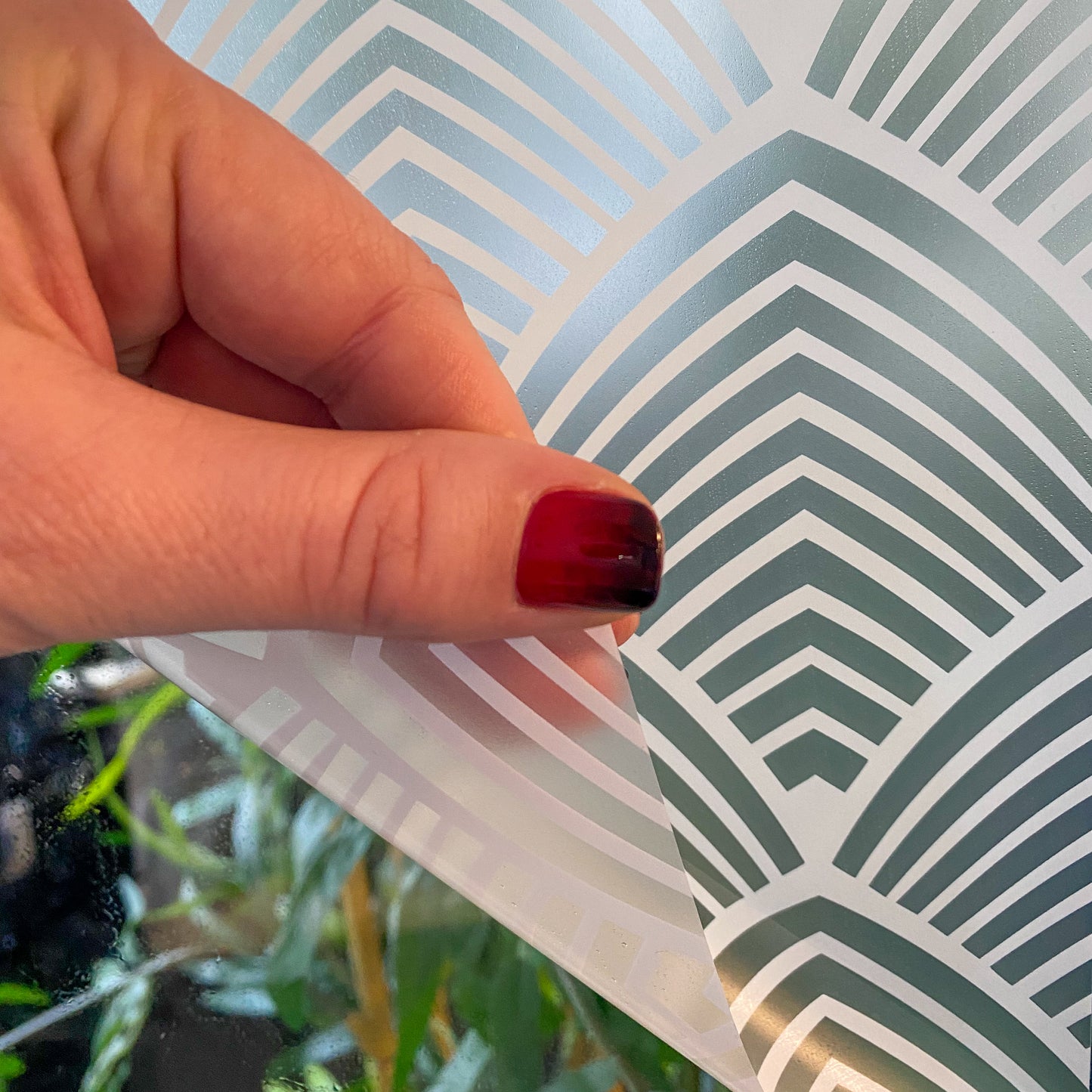 Chaplin Frosted Window Privacy Border