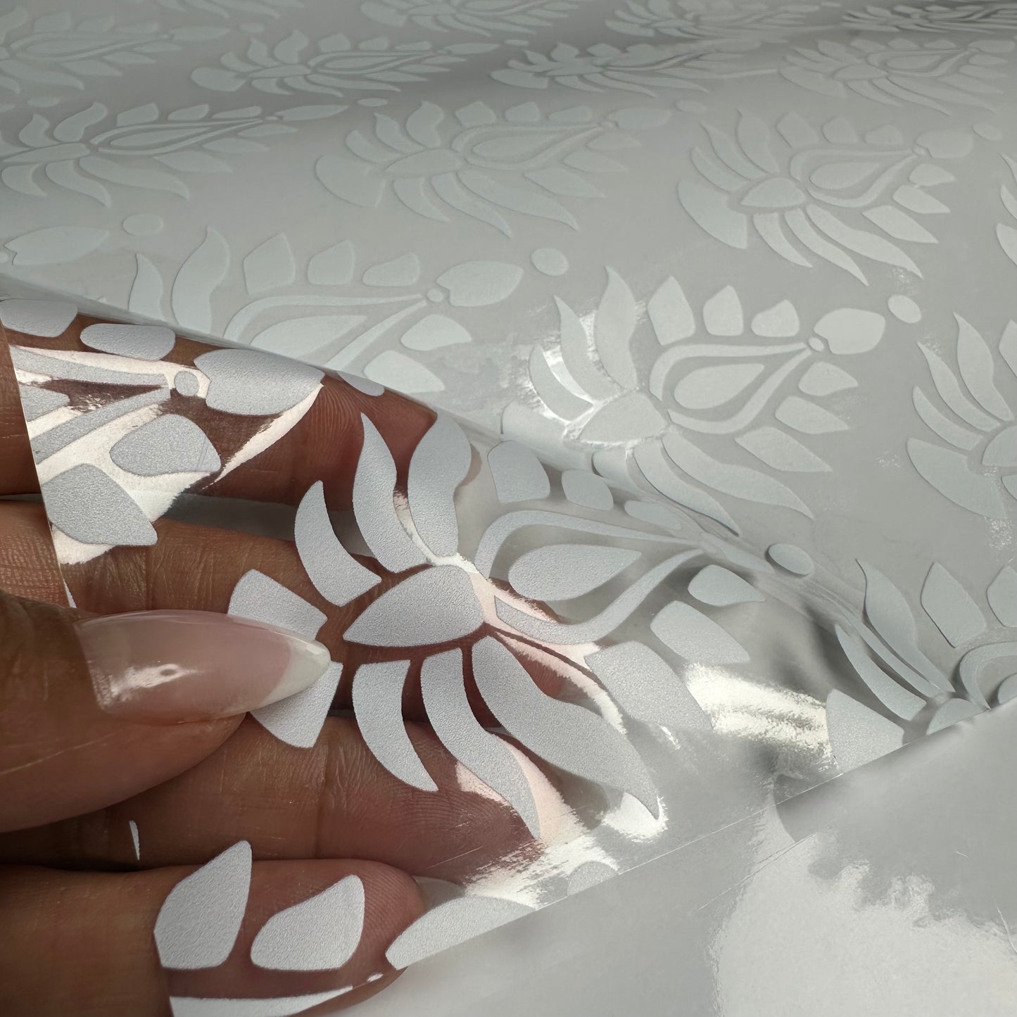 Indore Clear Window Privacy Border