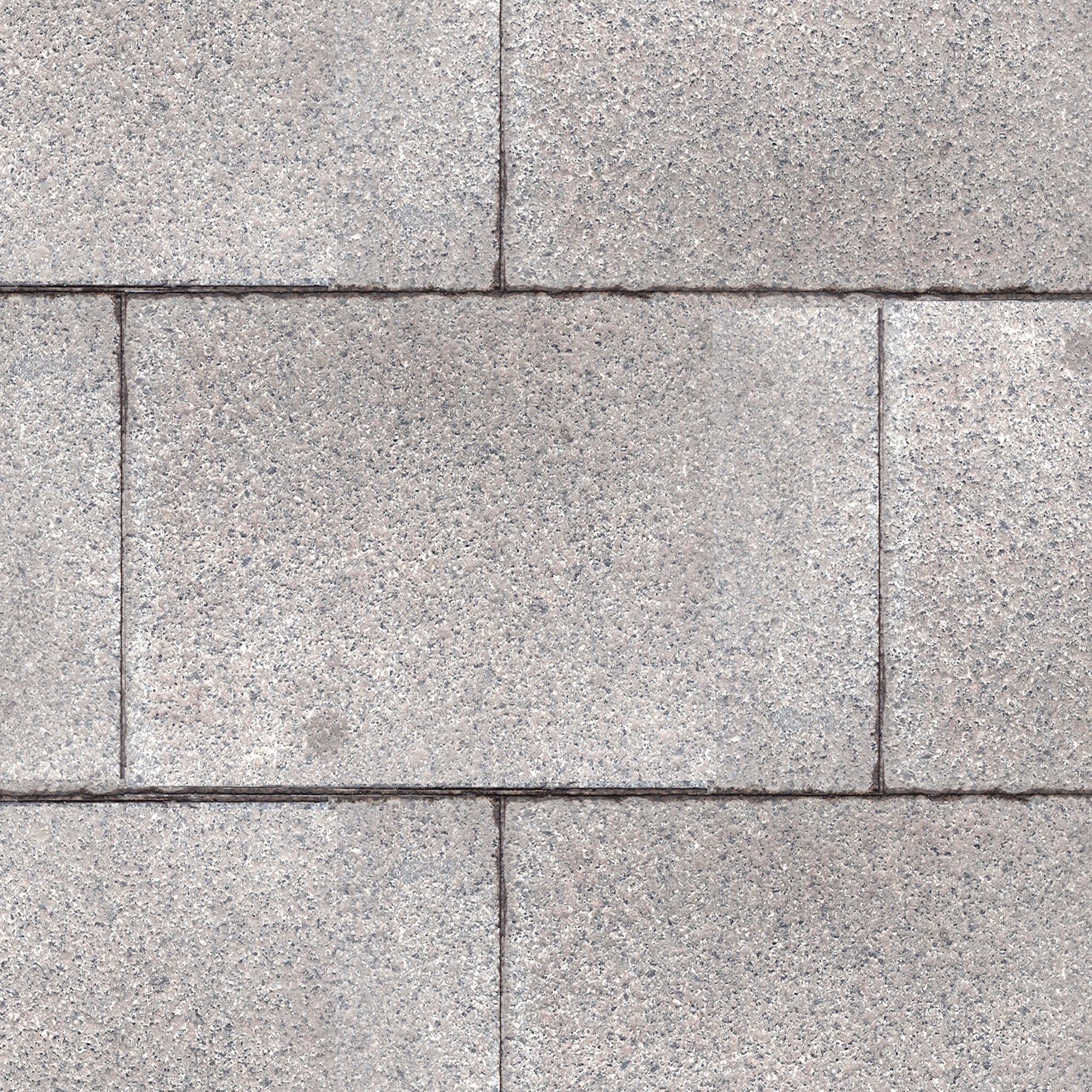 PATIO Quiz – Dizzy Duck Designs