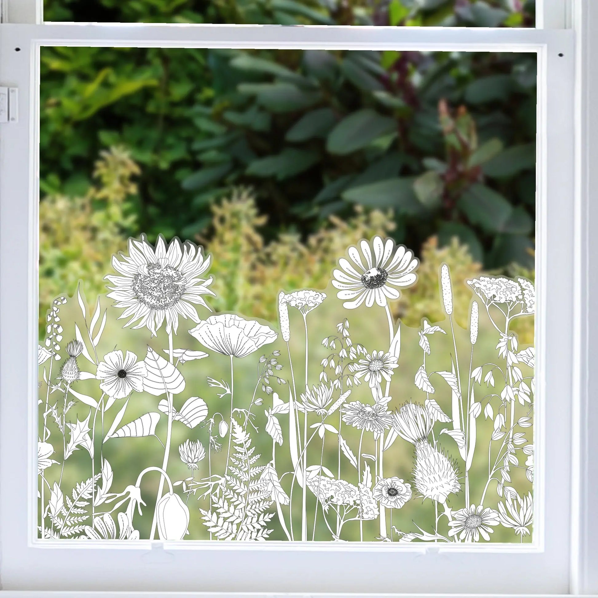 Privacy Window Retro Flowers Frosted Window Border Dizzy Duck Designs