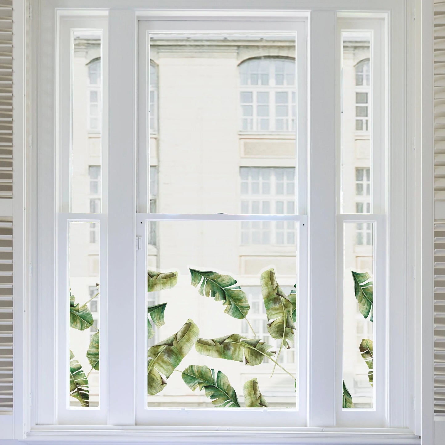 Privacy Window Banana Leaf Tropical Clear Window Privacy Border Dizzy Duck Designs
