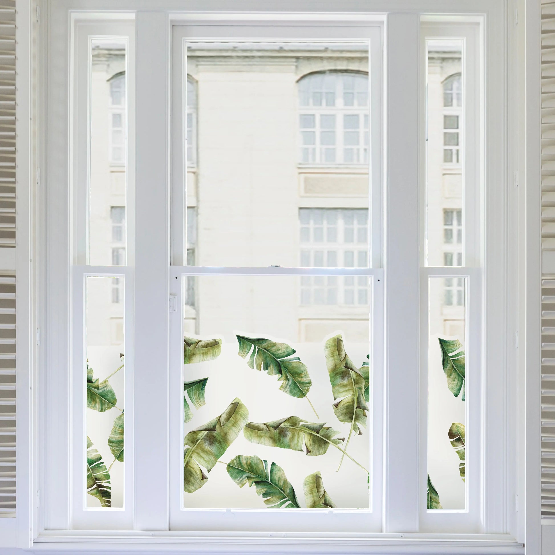 Privacy Window Banana Leaf Tropical Frosted Window Privacy Border Dizzy Duck Designs