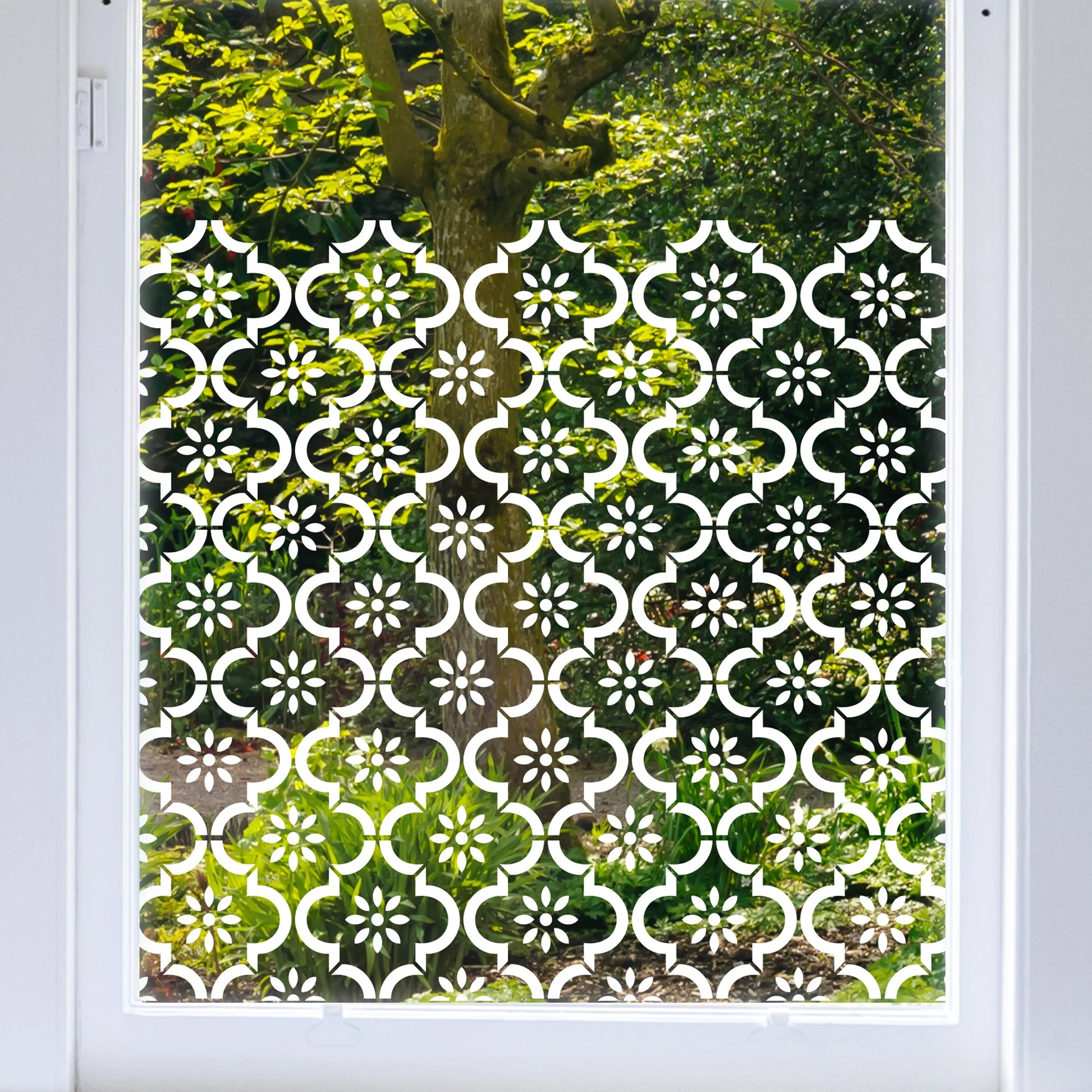 Privacy Window Jannah Clear Window Privacy Border (Clear) Dizzy Duck Designs