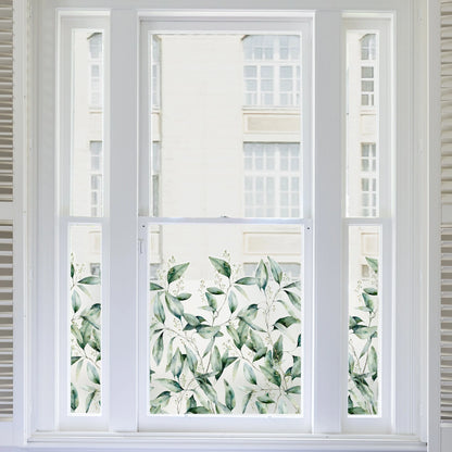 Privacy Window Seeded Eucalyptus Frosted Window Privacy Border Dizzy Duck Designs