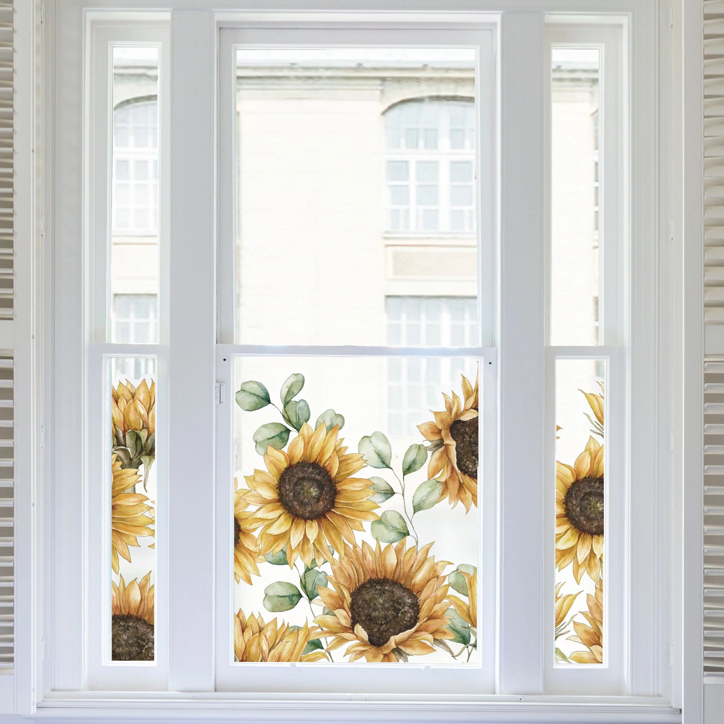 Privacy Window Sunflower Frosted Window Privacy Border Dizzy Duck Designs