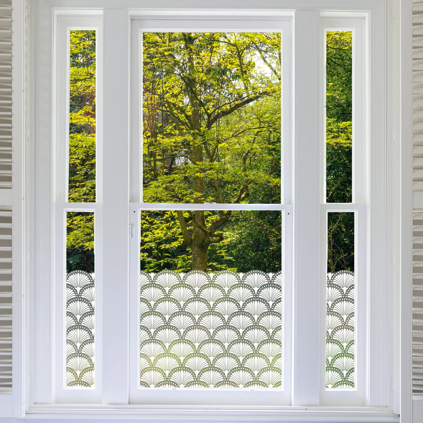 Privacy Window Thebes Frosted Window Privacy Border Dizzy Duck Designs